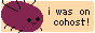 a cartoon of a small bug with text that reads 'i was on cohost'